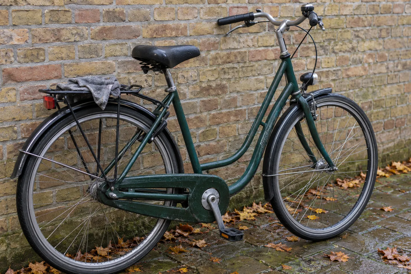 Brugt citybike med skærme og rengøringsklud i en gård om efteråret